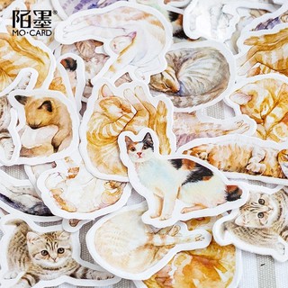 HỘP 45 STICKER MÈO VER1