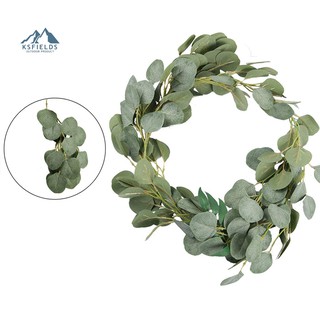 Dây Leo Cây Bạch Đàn Giả Trang Trí