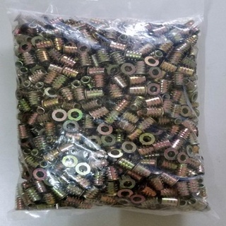 Ốc cấy có tai bịch 50 con -tán cấy gỗ -ốc cấy gỗ có vành -sò sắt có vành nhiều kích cỡ