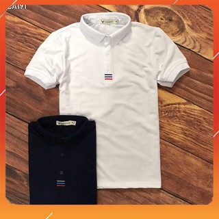 Áo Thun Có Cổ Cá Sấu Trơn Form Xuông DCA191
