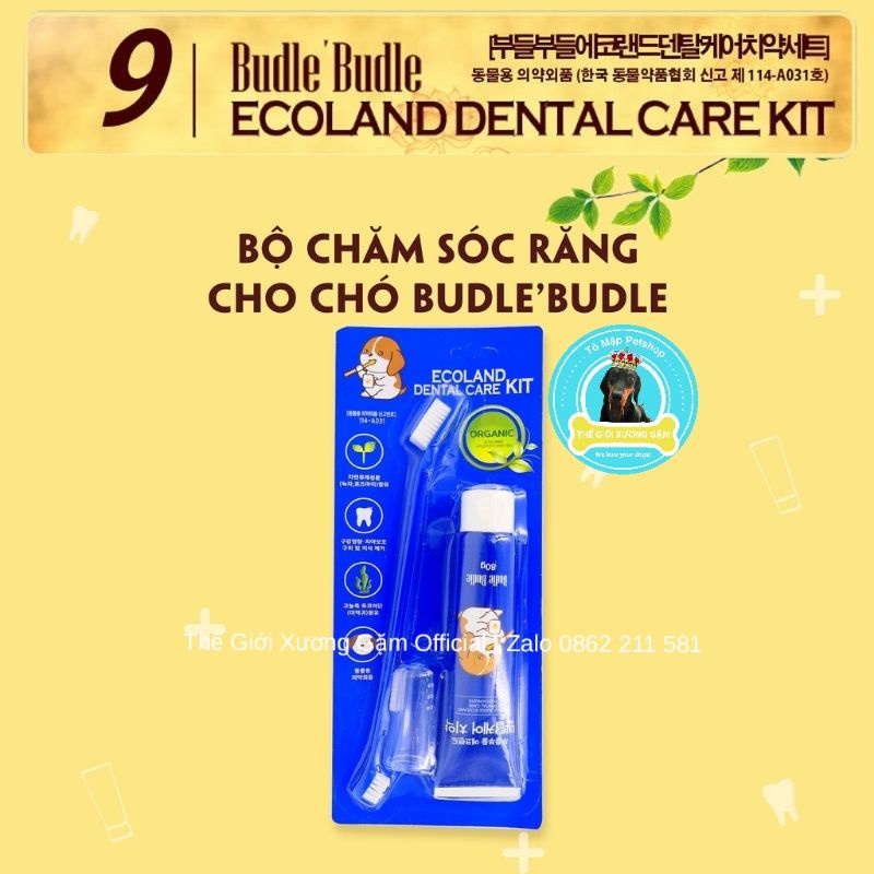 KIT CHĂM SÓC RĂNG MIỆNG BÀN CHẢI KEM ĐÁNH RĂNG BUDLE BUDLE