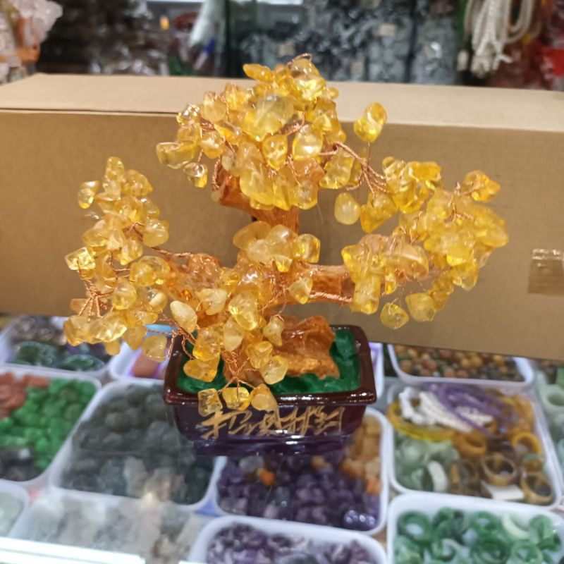 Cây đá màu vàng hút tài lộc, cây tài lộc để bàn thờ Thần tài, quầy thu ngân, két sắt, bàn làm việc, sưu tầm