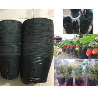 (Đủ size) 1 lạng Túi ươm/ Chậu trồng cây giống - Bầu ươm cây nilông đen dai, bền đủ size