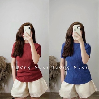 (Hương Muối)Áo len cộc tay trơn basic - bảng màu pastel