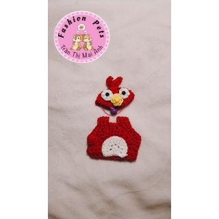 Combo angry birds cho hamster, sóc, bọ , bắc mỹ,....