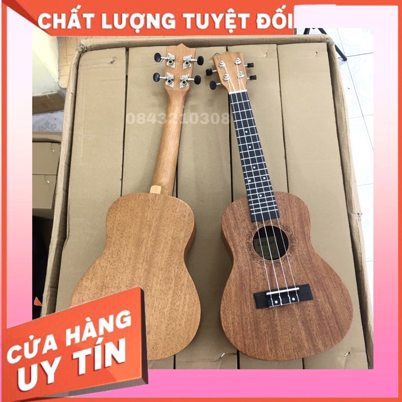 Đàn Ukulele Concert [GIÁ SẬP SÀN] chất lượng loại 1 âm thanh vang sáng