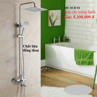 Sen cây vuông thau bóng cao cấp