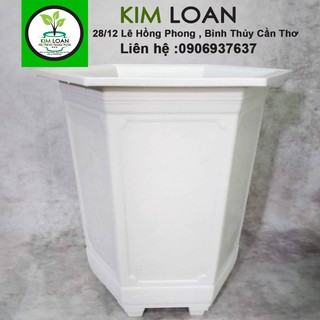 Combo 2 chậu nhựa lục giác cao cấp trắng 40x40cm
