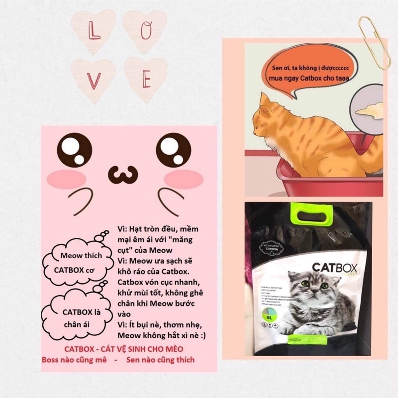 Cát Vệ Sinh Cho Mèo CATBOX, Mùi Chanh, Táo, Cà Phê thành phần Bentonite &amp; than hoạt tính khử mùi tới 99%