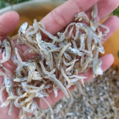 Cá Cơm Ngần Ngon Như Hình