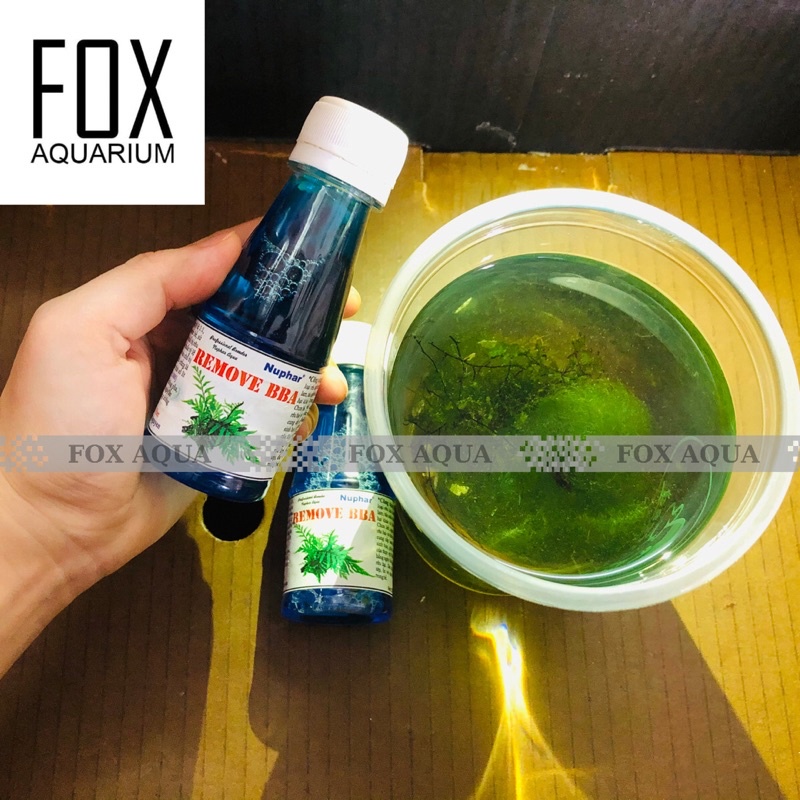 Diệt Rêu Nuphar Remove BBA, diệt rêu chùm, thuỷ tức và đa số các loại rêu hại trong hồ thuỷ sinh