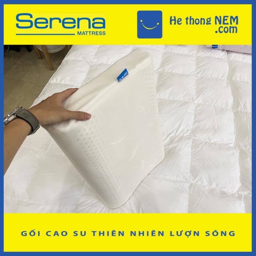 Gối Nằm Ngủ Cao Su Non Lượn Sóng SERENA Cao Cấp - Gối Cao Su Non Cho Người Lớn Ngủ Ngon - Hệ Thống Nệm .