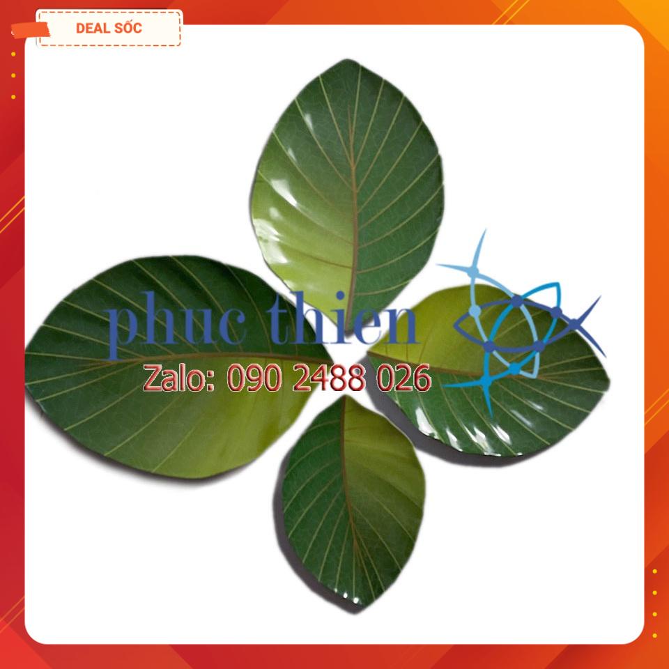 Dĩa Hột Xoài Lá Cao Cấp VIỆT NAM