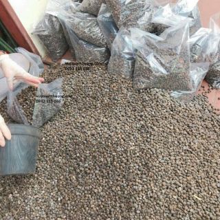 Phân dê hữu cơ (4kg) tan chậm phân cho lan cho cây