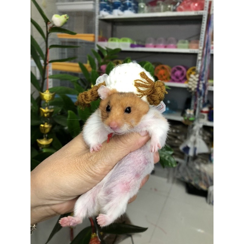 Nón Len Cho Thú Nhỏ Hamster, Sóc, Bọ - Mẫu Tóc 2 Chùm