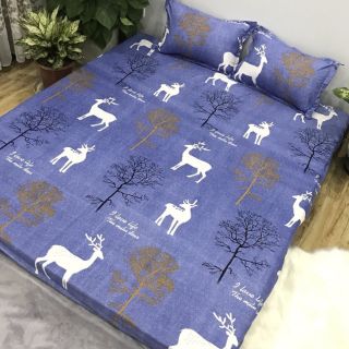 Set chăn hè ga gối 5 món
