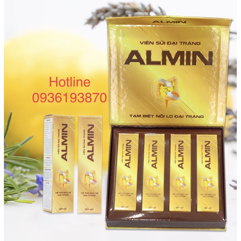 ĐẠI TRÀNG ALMIN