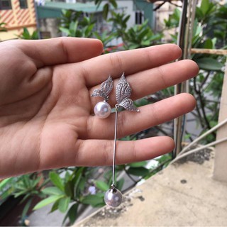 Khuyên tai bạc cánh bướm