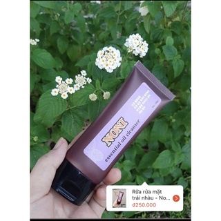 Rữa rửa mặt trái nhàu - Noni essential oil cleanser