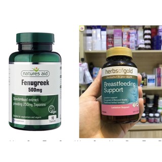 Bộ đôi Lợi Sữa Herbs Of Gold Breastfeeding Support và Lợi Sữa Fenugreek 500mg