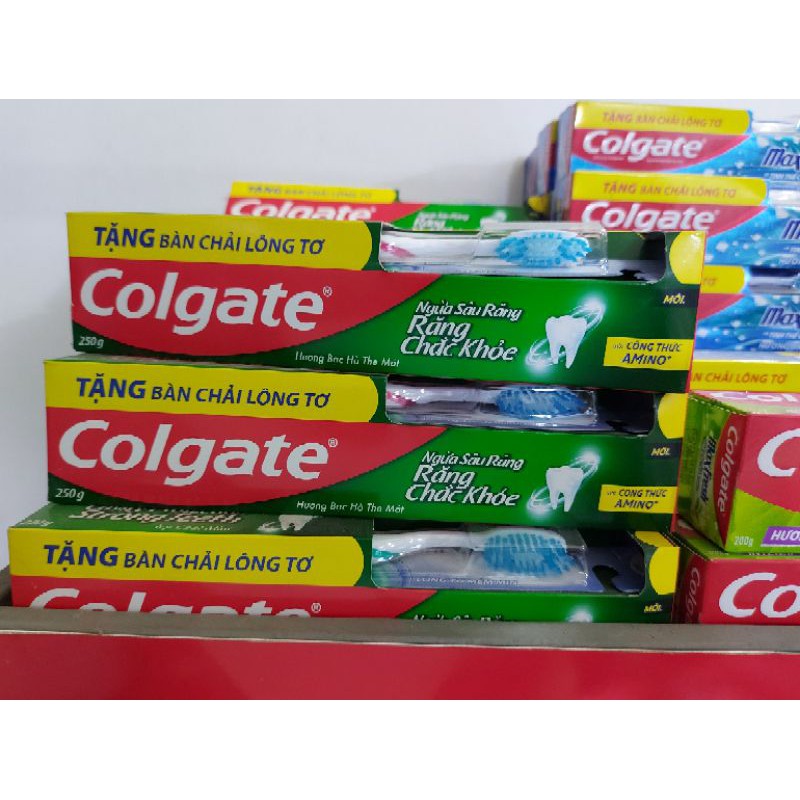 Kem đánh răng colgate đủ loại giá sỉ