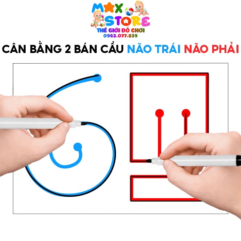 cách cân bằng 2 bán cầu não