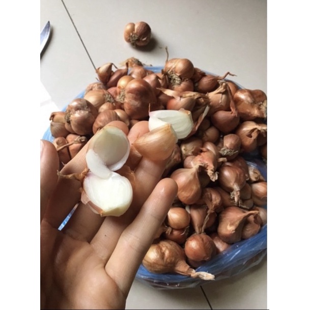 HÀNH KHÔ  LOẠI 1 ĐÃ CHON LỌC HẢI DƯƠNG