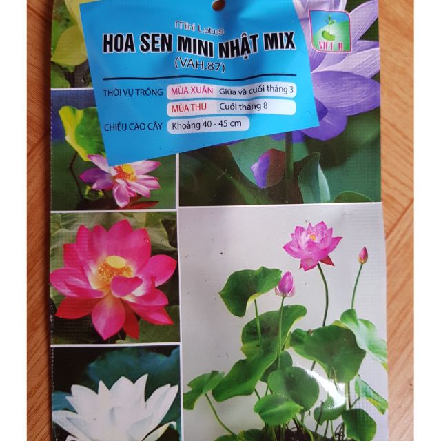 Sen mini nhật mix màu