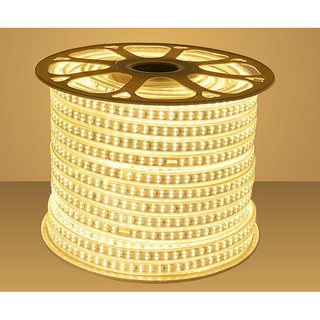 Đèn Led dây đôi 2835 , ống nhựa 220V(bán theo m) 10m trở lên Tặng Nguồn
