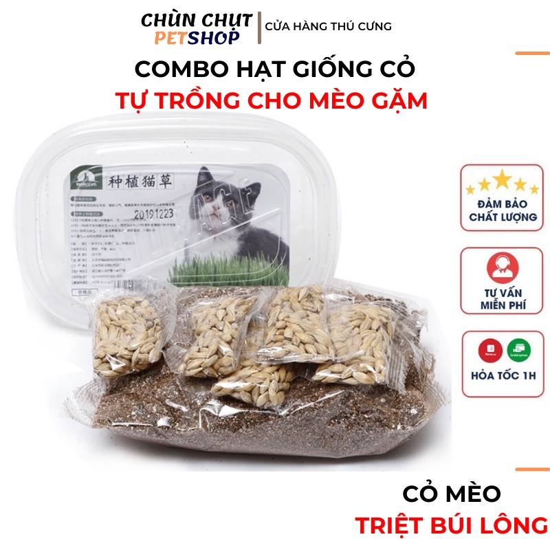 Combo hạt giống cỏ trồng cho Mèo gặm - Bộ Kit hạt lúa mạch