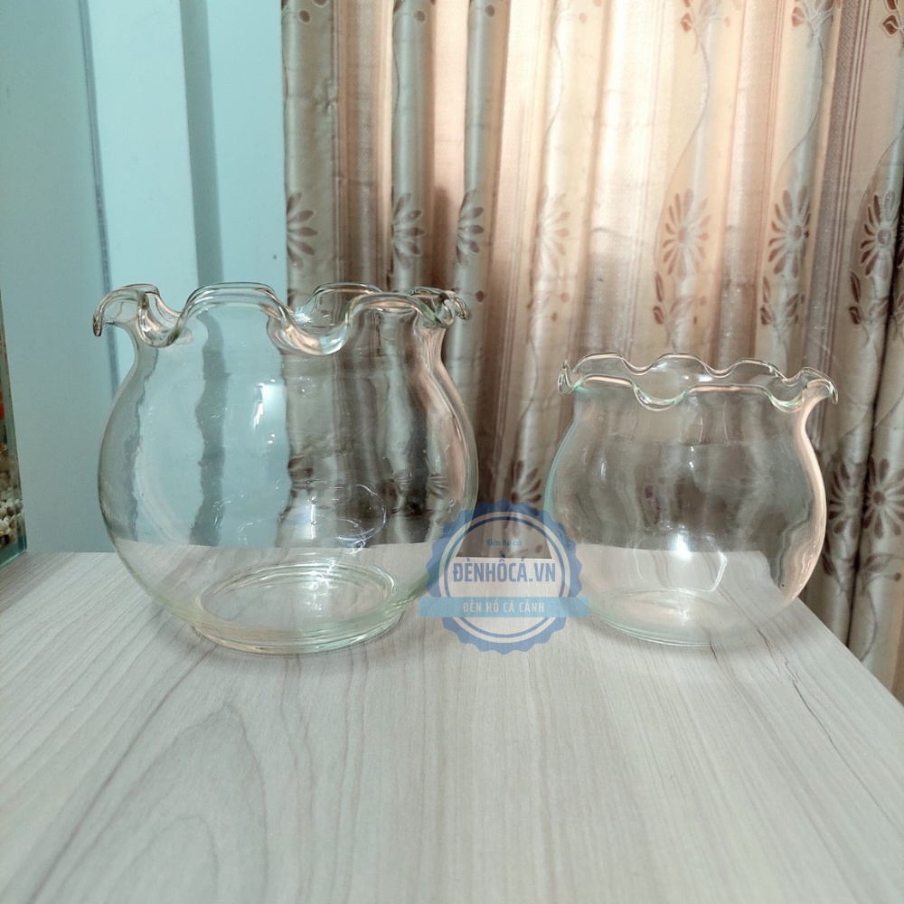 Chậu thủy tinh mini , chậu thủy tinh mini tai bèo , chậu thủy tinh tròn