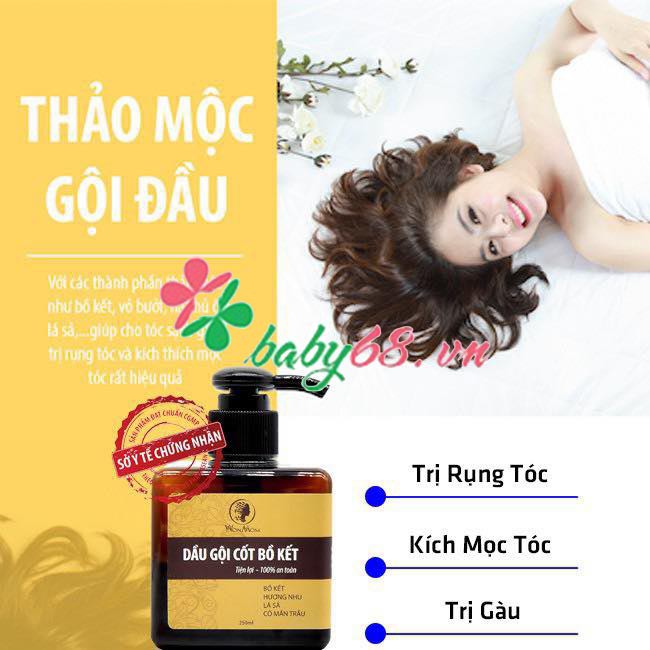 Dầu gội cốt bồ kết Wonmom 250ml