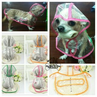 🐶🐱 Áo mưa cho chó mèo