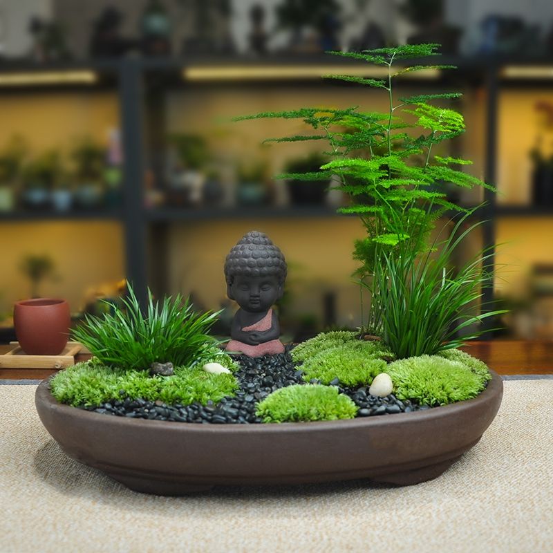 Tượng phật Di Lặc trang trí mô hình tiểu cảnh Cây phong thủy, sen đá, xương rồng, để bàn làm việc