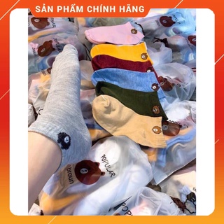 Set 10 đôi tất gấu xinh xắn