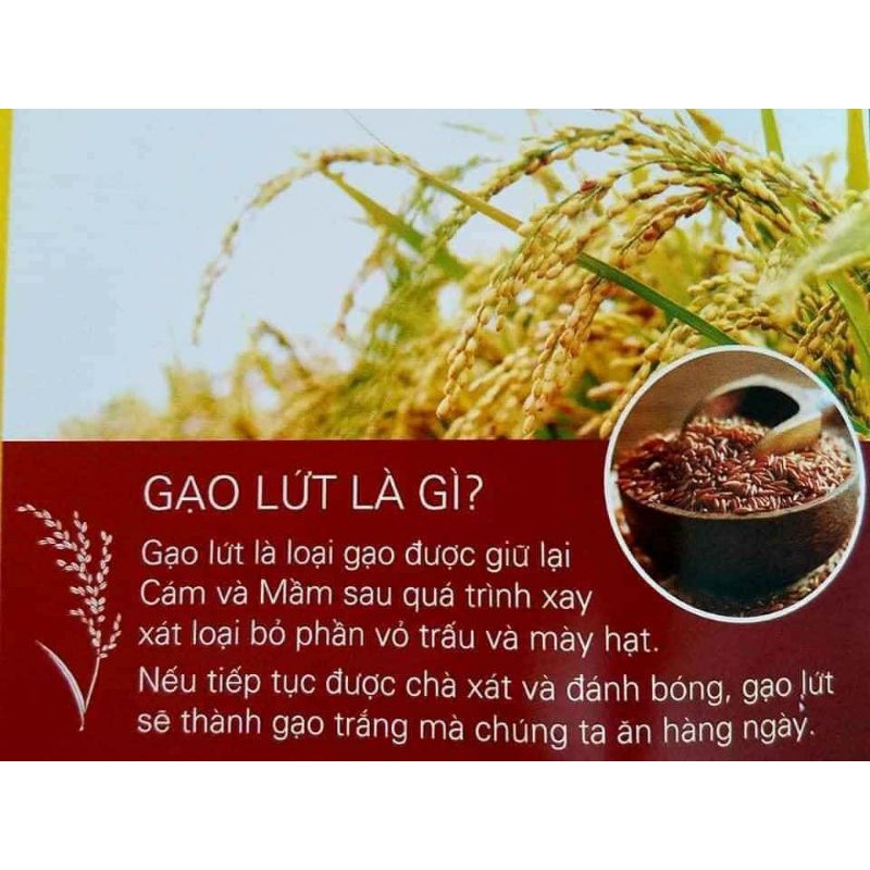 Bí quyết để trẻ đẹp. Trà gạo lứt đậu đen giảm cân 1kg, thành lọc cơ thể, giải nhiệt mùa hè.