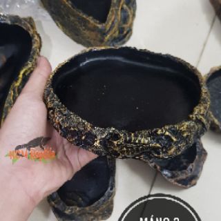 Máng giả đá 3