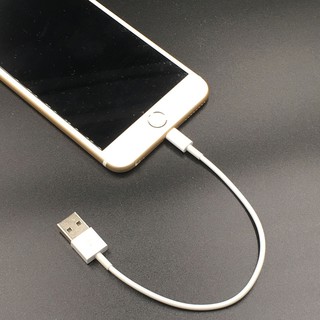 Cable sạc Lightning dài 20cm cho Pin dự phòng