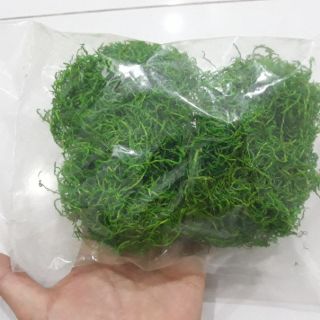 Cỏ sợi làm cây mô hình, trang trí handmade