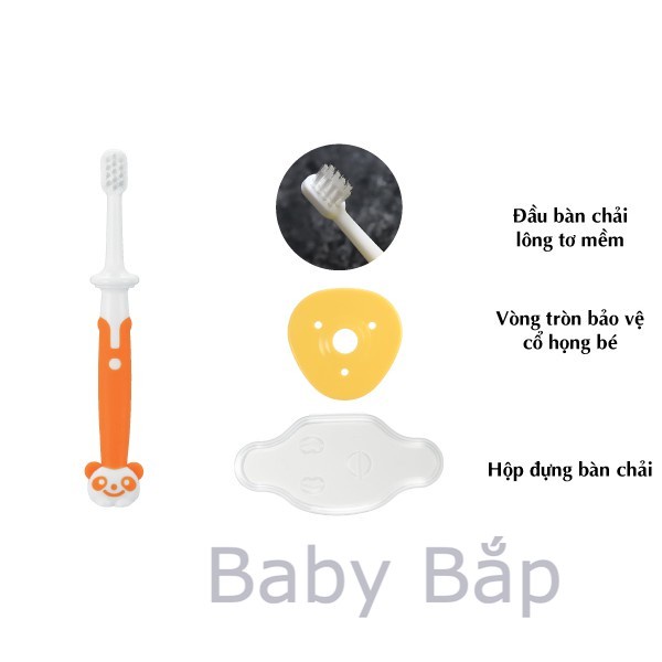 Bàn chải bước 3 Richell (12m+)