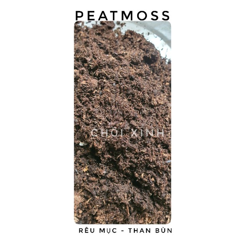 1kg PEATMOSS rêu mục, than bùn