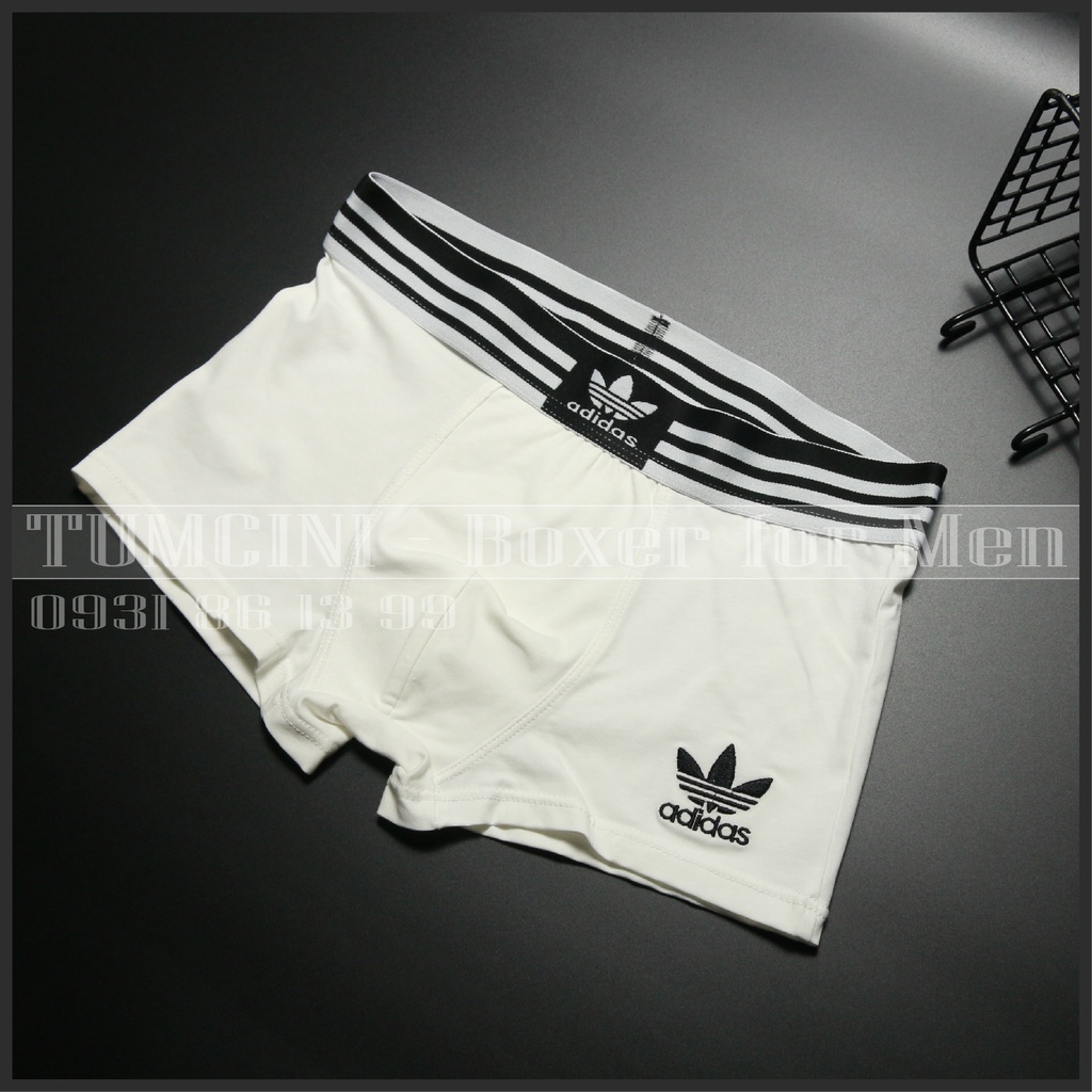 Quần lót nam COMBO 5 chiếc boxer sịp đùi cao cấp kháng khuẩn tốt cho các quý ông Tumcini AD1