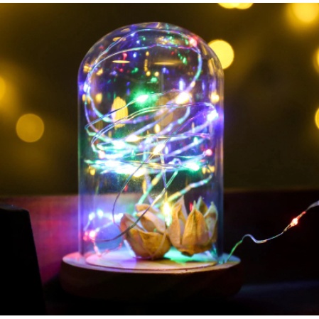 Đèn led, đèn đom đóm trang trí tiệc, decor phòng, chụp hình,...