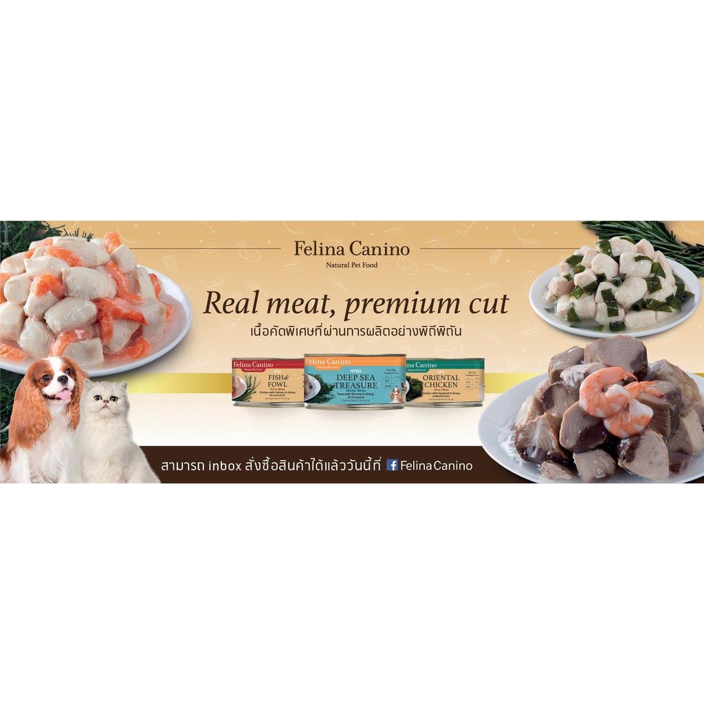 Pate Felina Canino cho mèo 70g