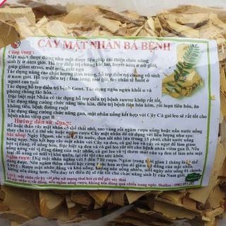 CÂY MẬT NHÂN BÁ BỆNH