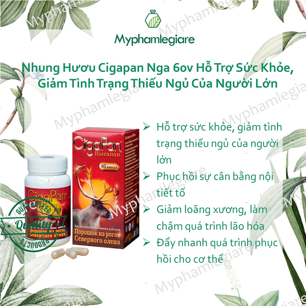 Sản phẩm Gigapan của Nga (60v)