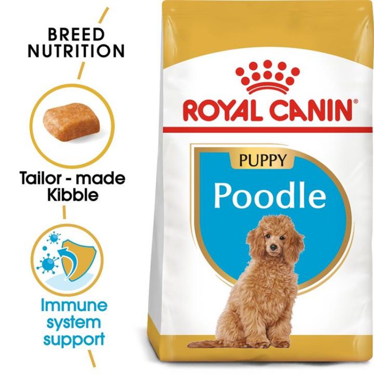 Thức ăn hạt Royal Canin Poodle Puppy dành cho chó con 500g