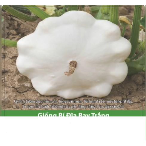 Hạt Giống Bí Đĩa Bay Trắng 1gr