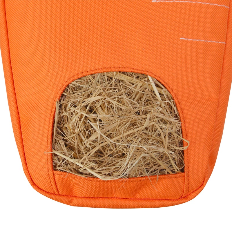 Túi Đựng Thức Ăn Hình Cà Rốt Cho Thú Cưng