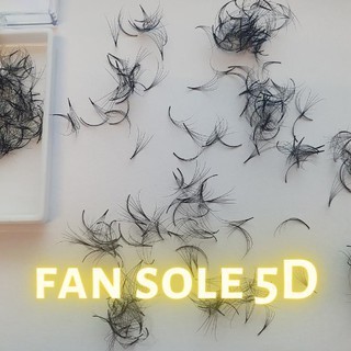 Mi Fan Sole Camelia - 3D 4D 5D Cong C , D ( 0.07 ) - Lông Mi Sole Fan Tay Sẵn